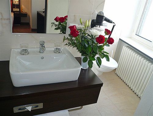 Hotel Rheinfelderhof 2*